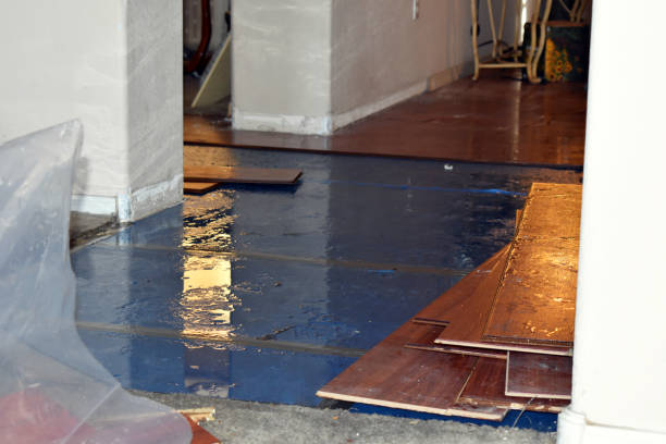 Professional Storm Water Damage Restoration technician working in Homer, OH